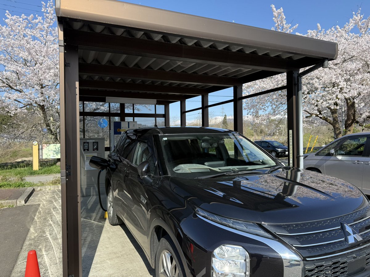 裸族博 tweet media