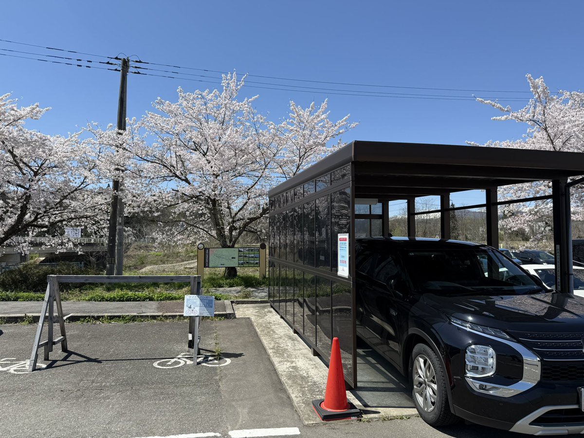 裸族博 tweet media