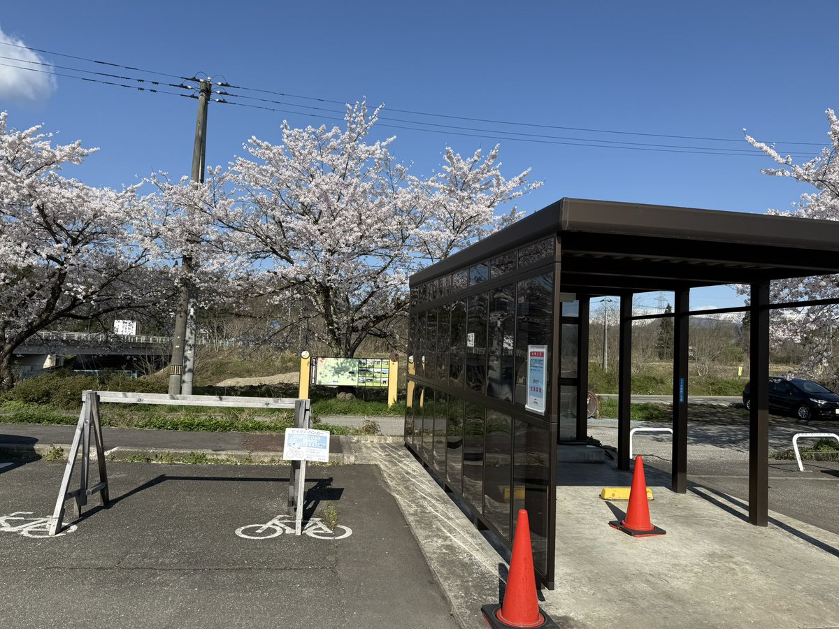 裸族博 tweet media