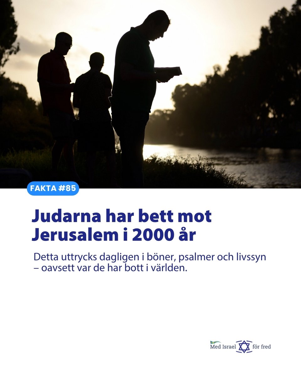 MIFF Sverige tweet media