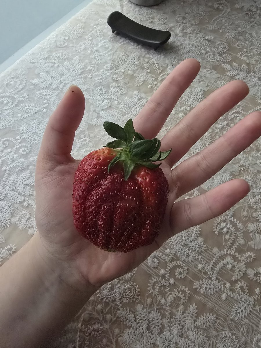 하데스돌깰때까지집에안간다 tweet media