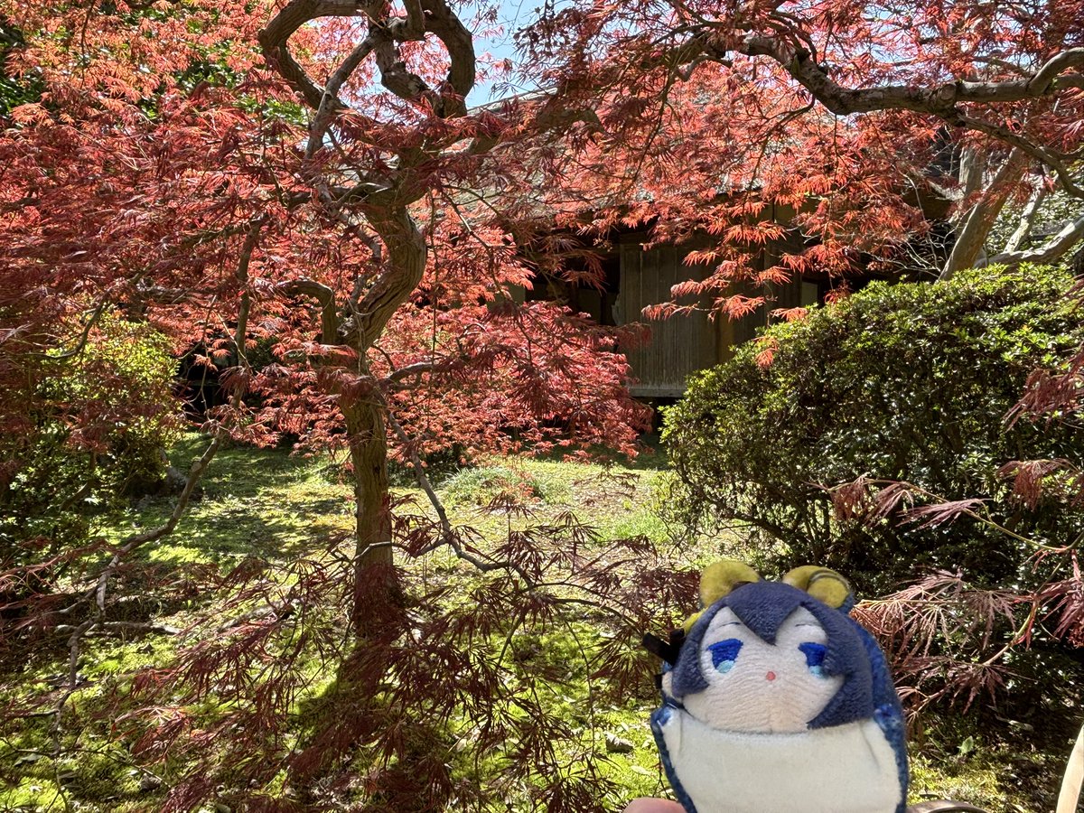 ち😆🍁✨✨✨！！！(こみか)