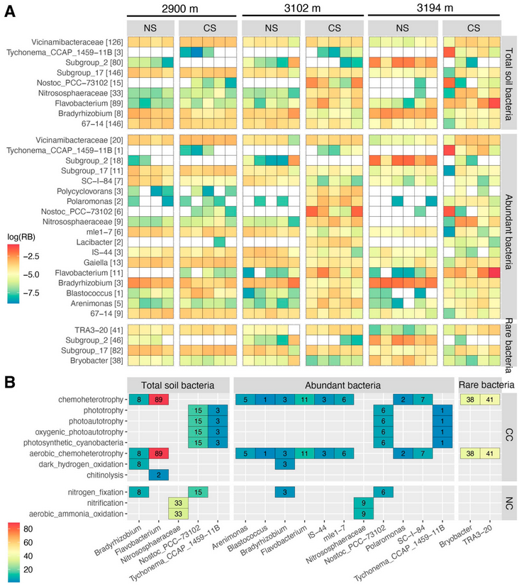 DiversityMDPI's tweet image. 🌍 Abundant Species Govern the Altitude Patterns of Bacterial Community in Natural and Disturbed Subalpine Forest Soils

👥 Chaonan Li et al
🔗 Read at: brnw.ch/21x1zDT

#Diversity #BacterialCommunity #Forest #Soil