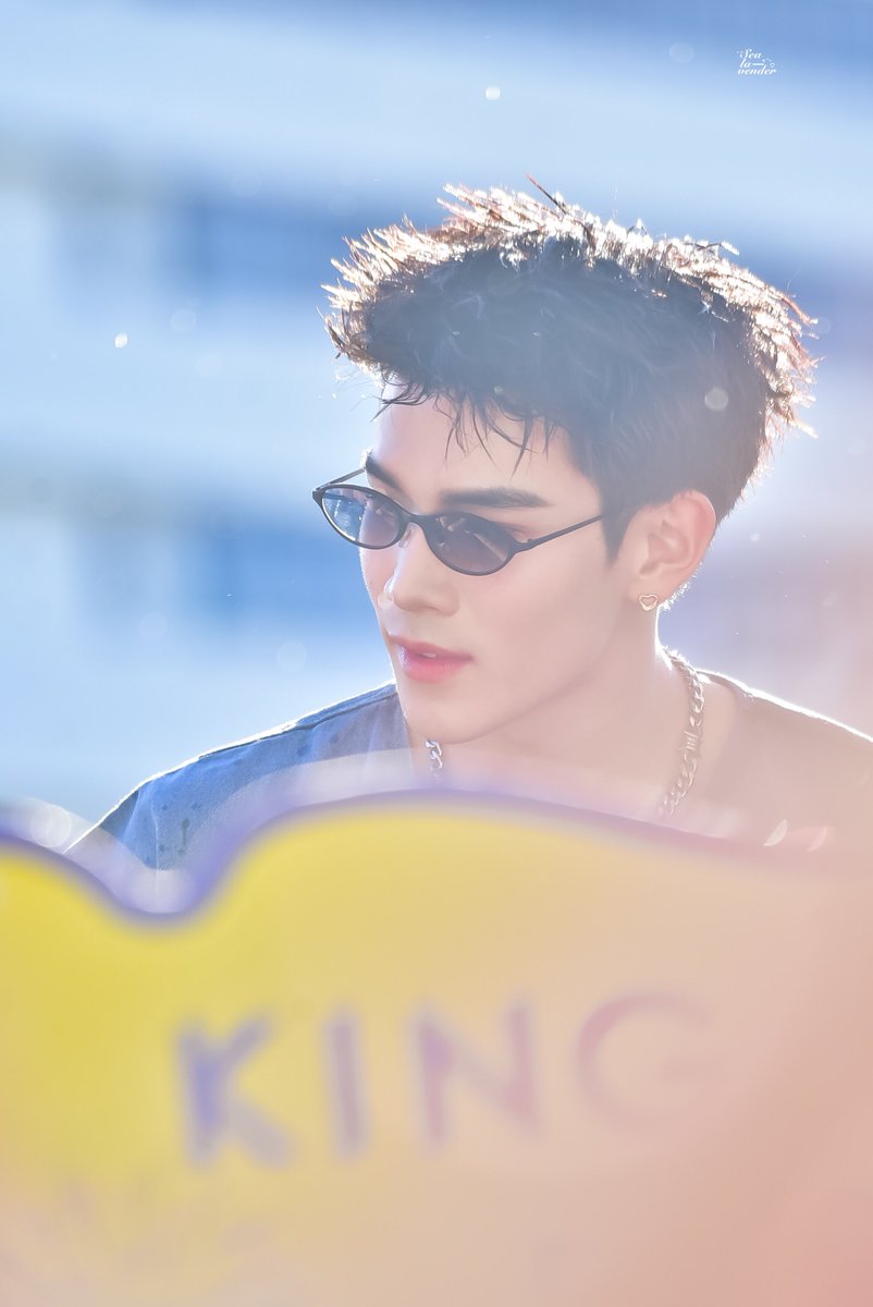 𝚂𝚎𝚊 𝙻𝚊𝚟𝚎𝚗𝚍𝚎𝚛 tweet media