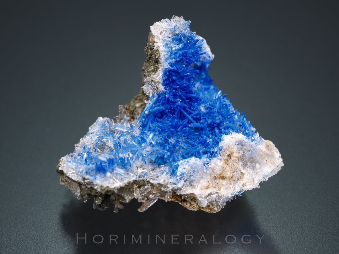 ホリミネラロジー tweet media