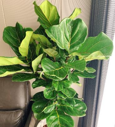 Anoka Matthews tweet media