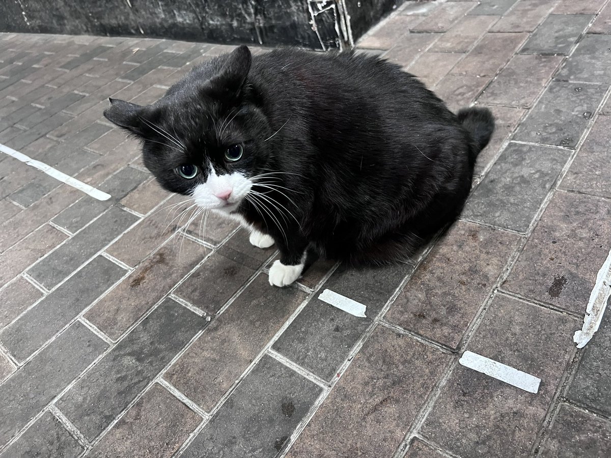 ちゅん tweet media