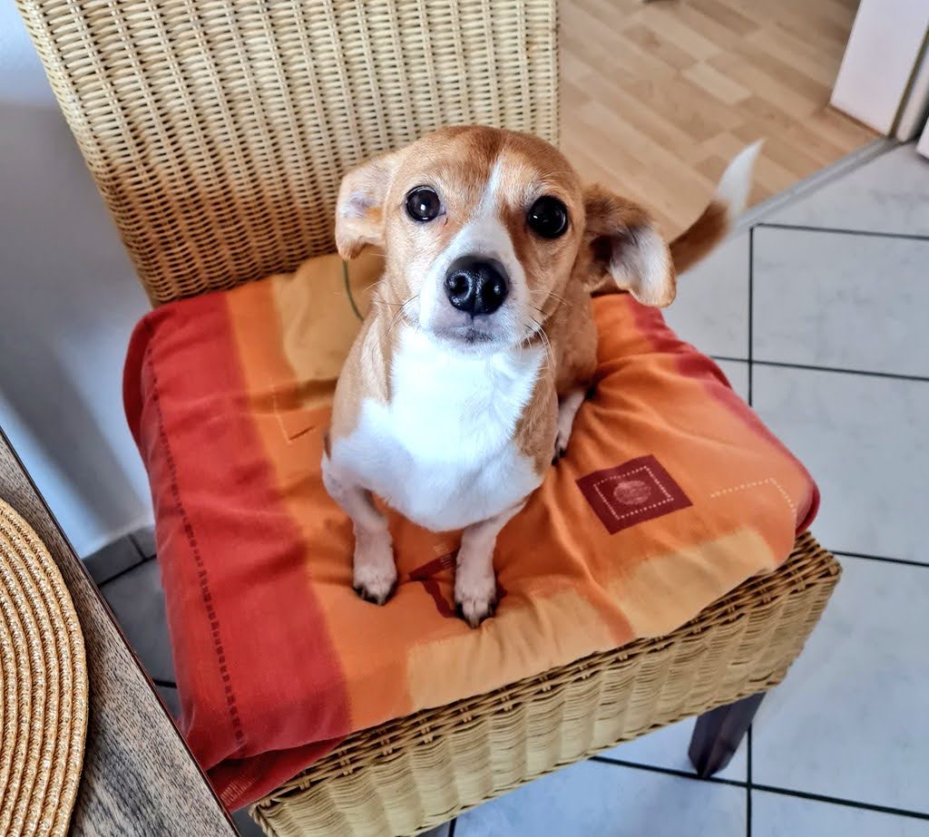 Franky Flodder tweet media