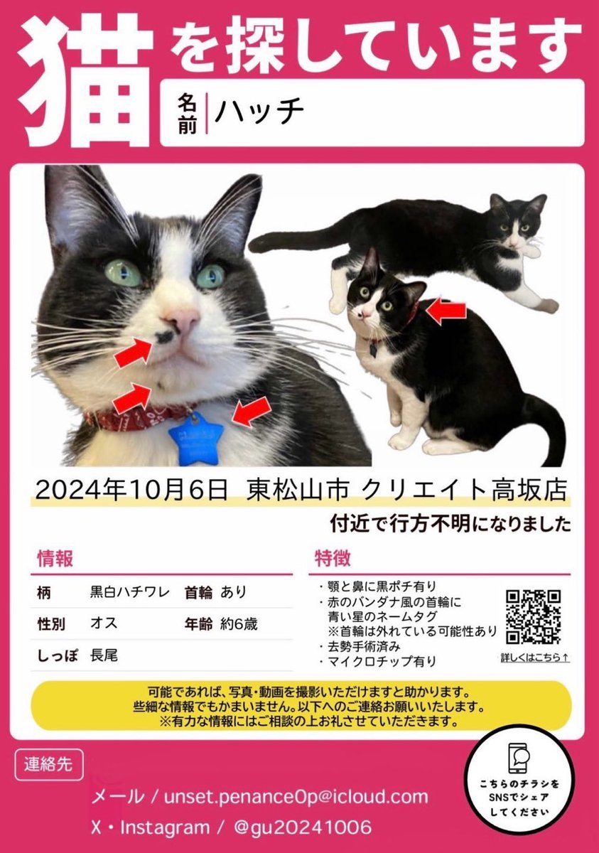 花子🐴😸🐶(名前変更しました) tweet media