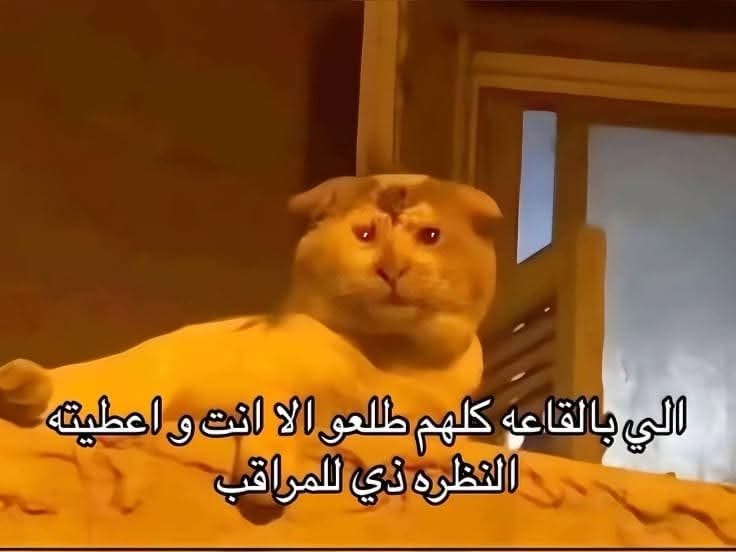 𝑻𝒂𝒕𝒊𝒂𝒏𝒂تـہ tweet media