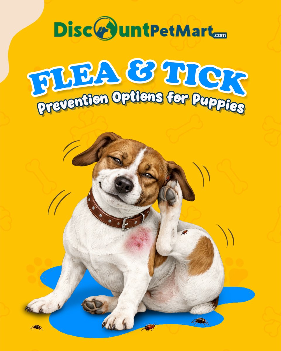 DiscountPetMart's tweet photo. Protect your puppy from fleas &amp; ticks early

Safe prevention options
Reduce itching &amp; irritation
Keep your pup healthy
Start early. Stay protected.

https://t.co/IKKAYybvYP
#PuppyCare #FleaAndTick #DogHealth #PetCare #FleaPrevention #TickControl https://t.co/UzD3FWWC6V