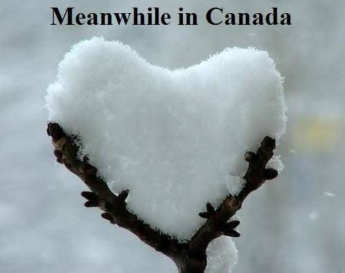 Being Human 🇨🇦🪶🌌❤️‍🔥 tweet media