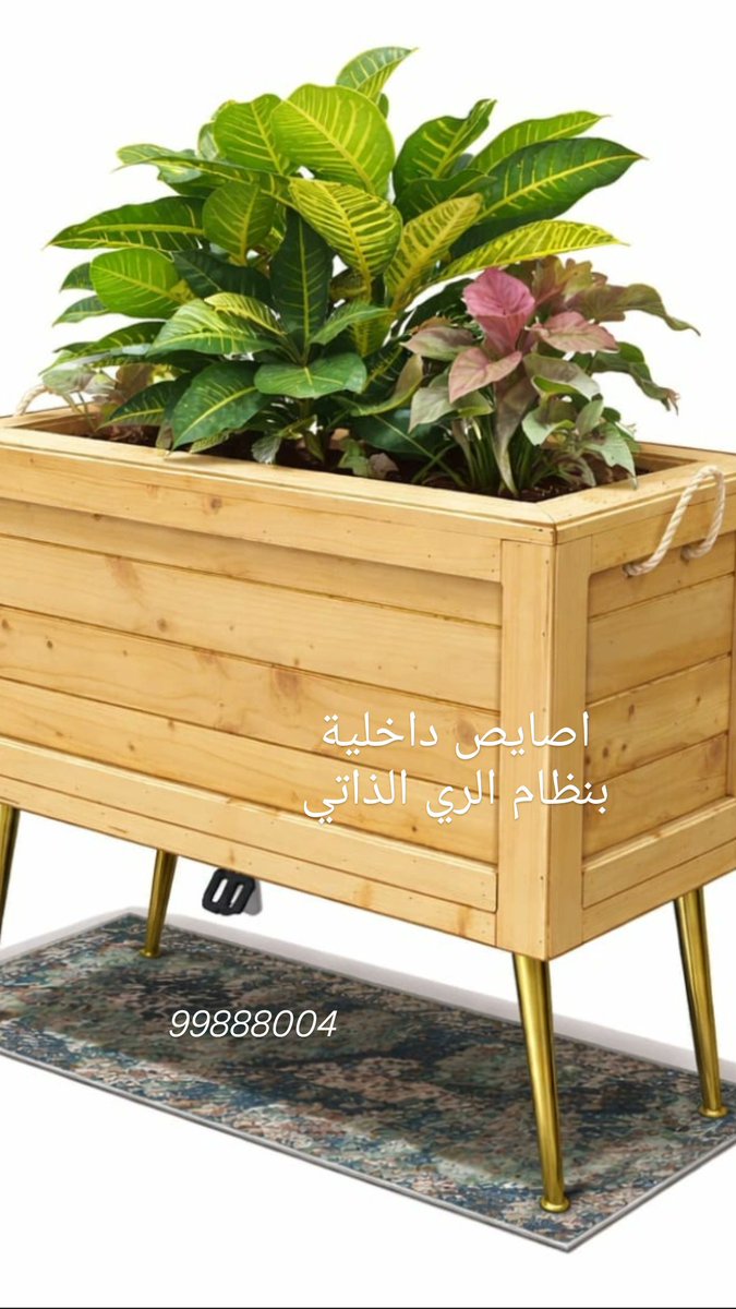 moha19168's tweet photo. الري الذاتي …
راحة لك وحياة أجمل لنباتاتك....
🌹 مملكة الزهور 🌹 https://t.co/F2vajNRlvD