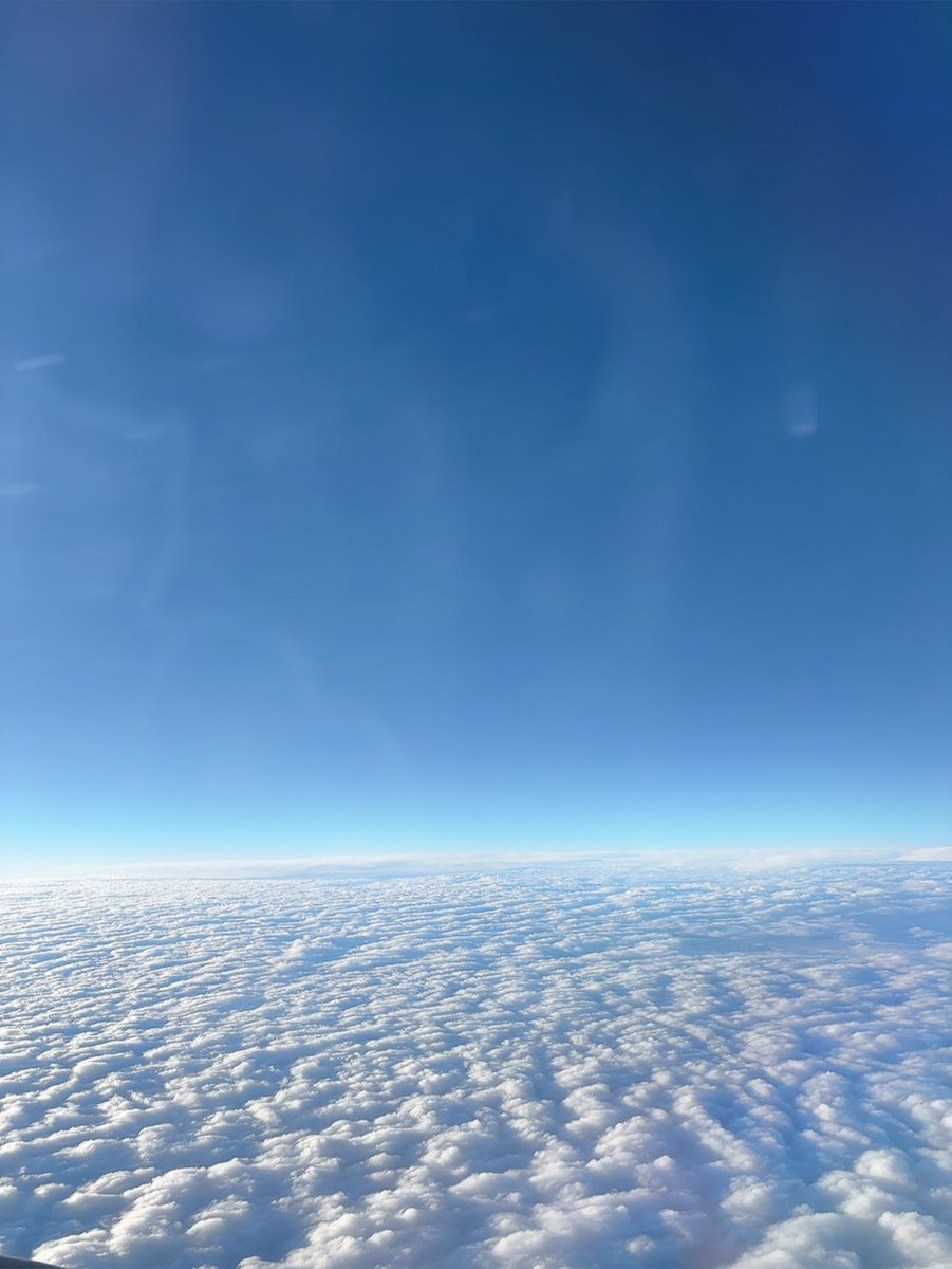 あぽろのすけ tweet media