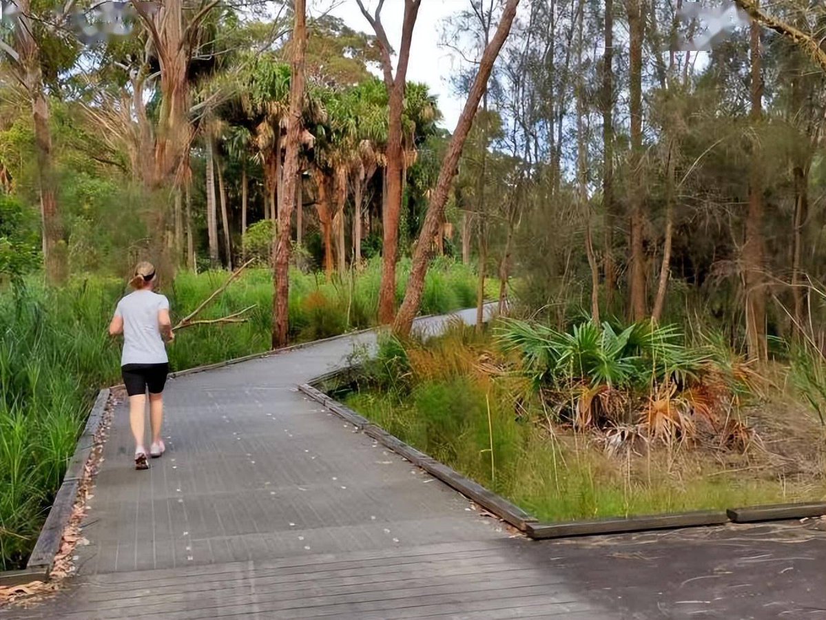 Nikita Esau tweet media