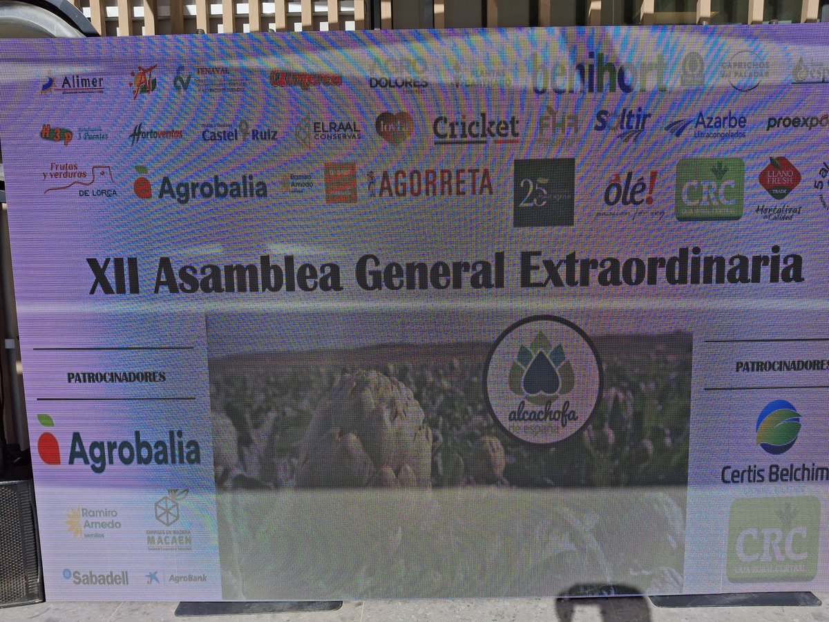alcachofa_es's tweet photo. #12AsambleadeAlcachofadeEspaña
Gracias a nuestros patrocinadores:
🥇 @CertisBelchimES 
🥇 @Rural_Central 
🥇 @agrobalia 
🥈 MACAEN
🥈 @ArnedoRamiro 
🥉 @AgroBank_CABK 
🥉 @BancoSabadell https://t.co/n1OEszSl1C