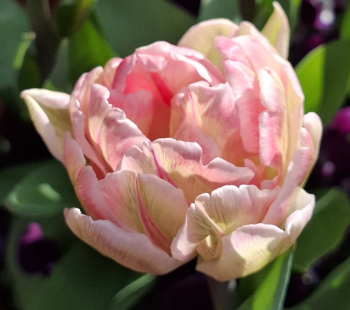 Terence Fleming tweet media