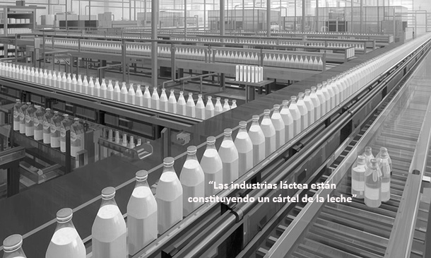 "Las industrias lácteas están constituyendo un cártel de la leche"
➡️ n9.cl/gdfh5
UPA les acusa de imponer de forma unilateral bajadas de precios a los ganaderos
#industrialáctea #ganaderos