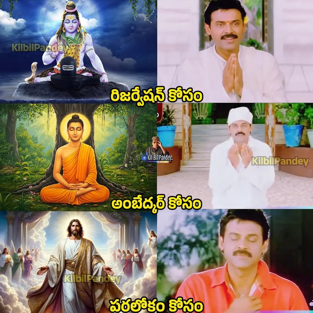 X Secular tweet media