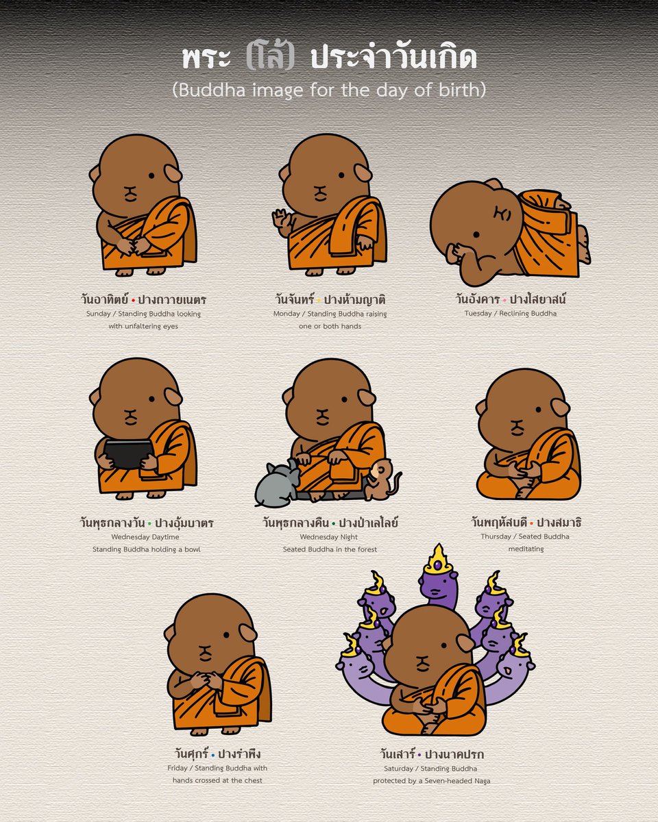 ณ๊องลัตเต tweet media