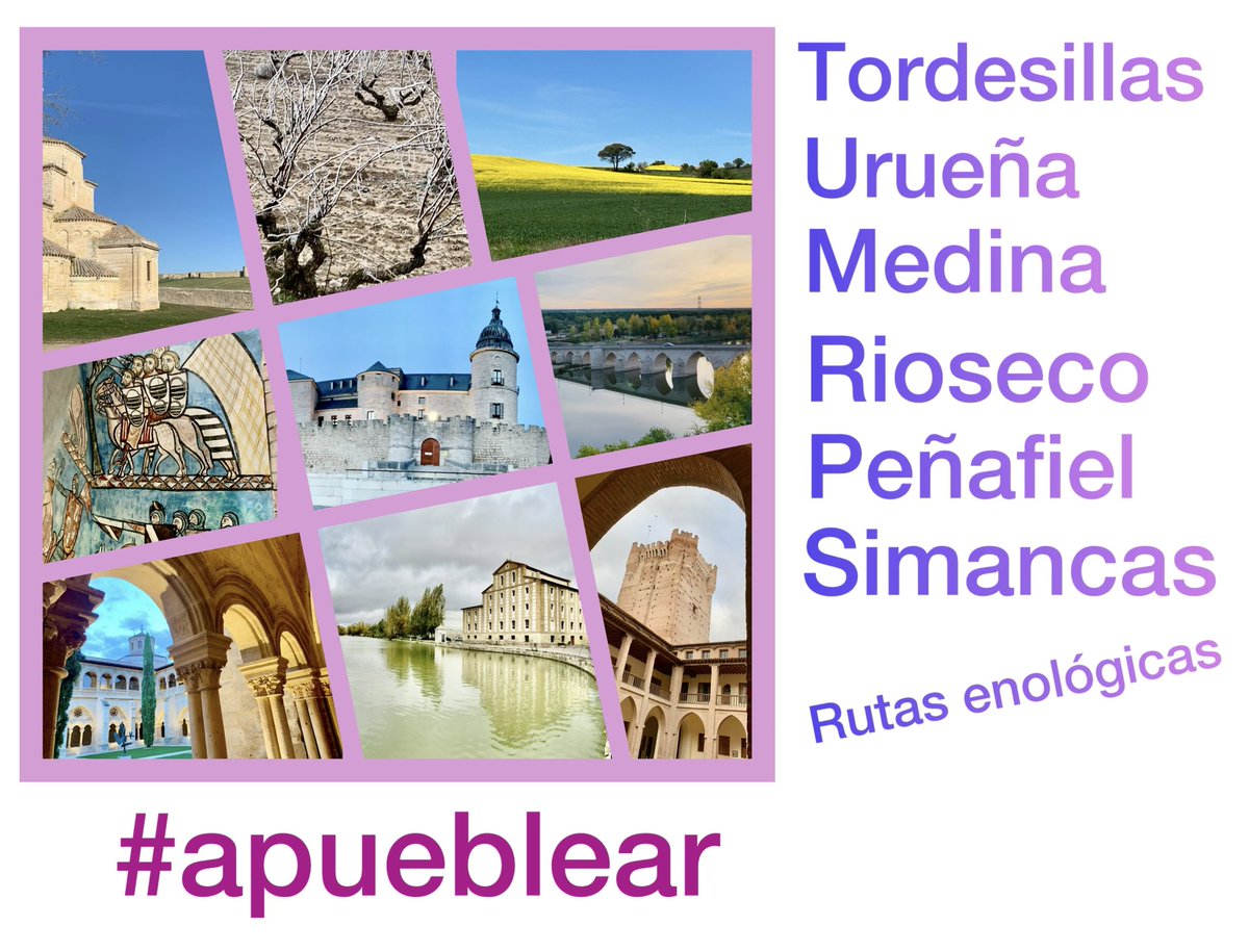 inesindra6 tweet media