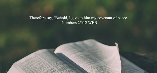 OLUFEMI🥰 tweet media