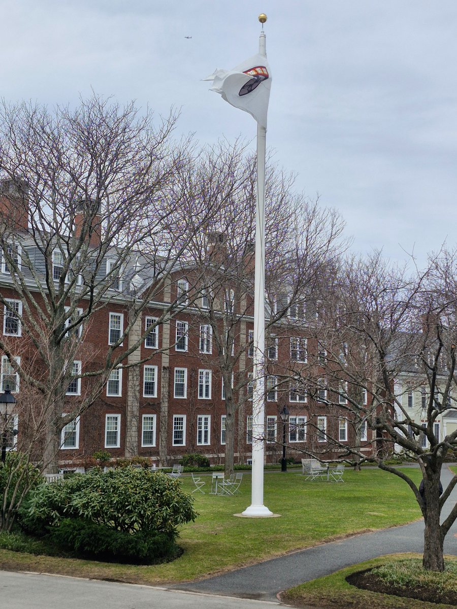 REGENT BUSINESS SCHOOL tweet media