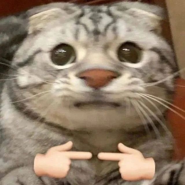 Gold king tweet media