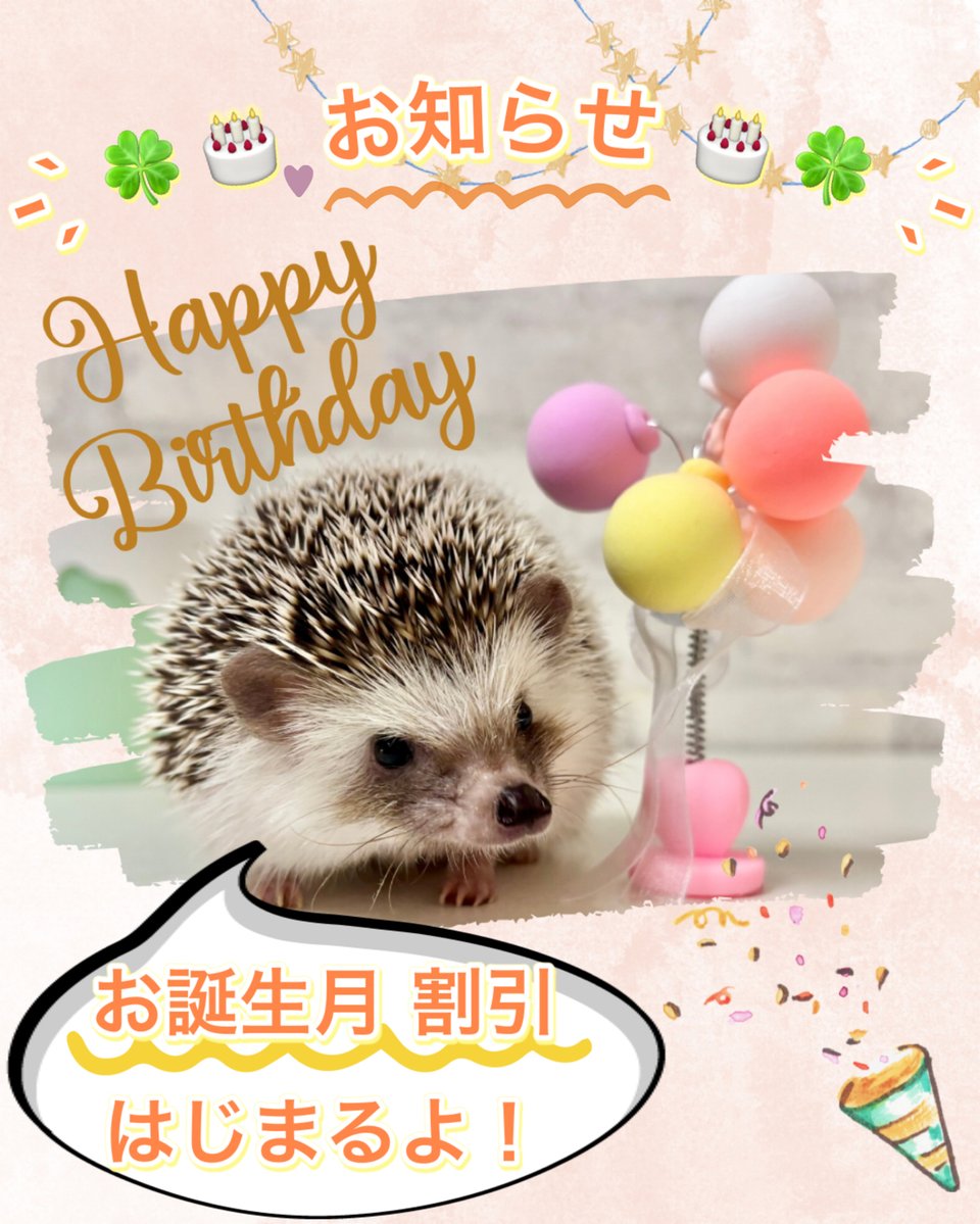 🎂【誕生日月の方限定】🎉
特別な月に、ちょっと嬉しいご褒美✨

60分入場券＋ガチャ＋ステッカー
➡️おトクに楽しめます🎁

お誕生月の思い出に癒しを🦔

詳細は新着情報をチェック👇
cafeharrywood.com/sakae/

#誕生日 #誕生日特典 #名古屋 #栄 #カフェ #ハリネズミ #動物カフェ #ハリネズミカフェ