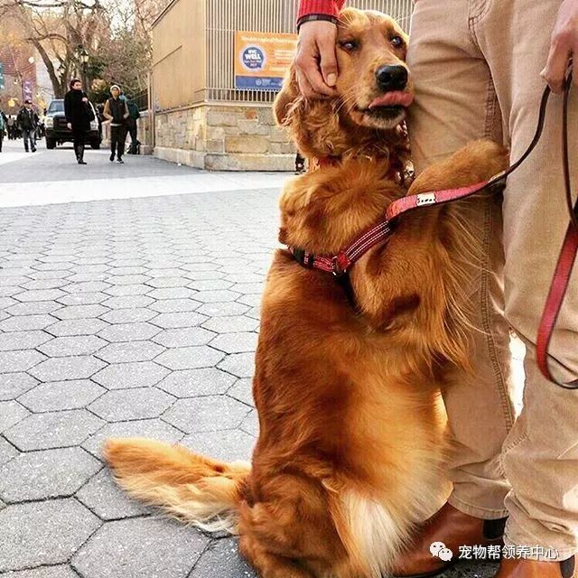 Jess Langhorne tweet media