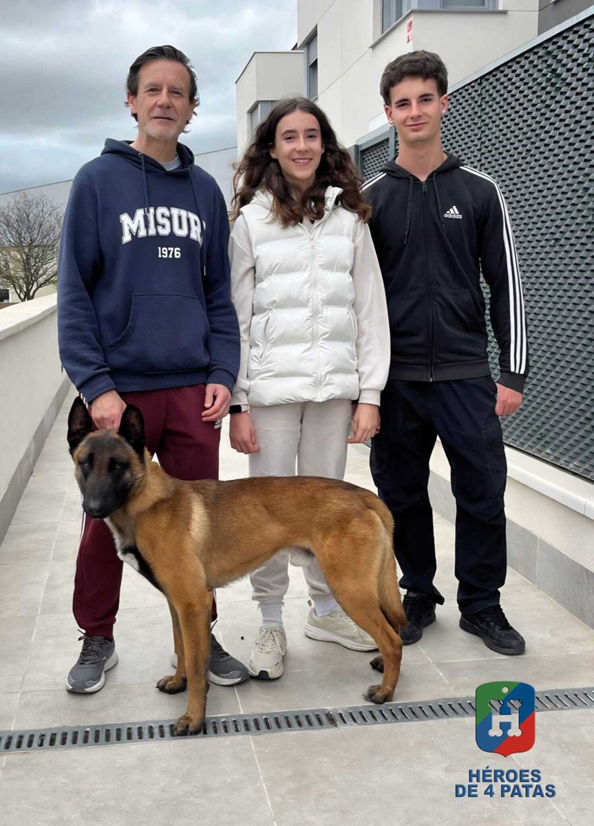 Héroes de 4 Patas tweet media
