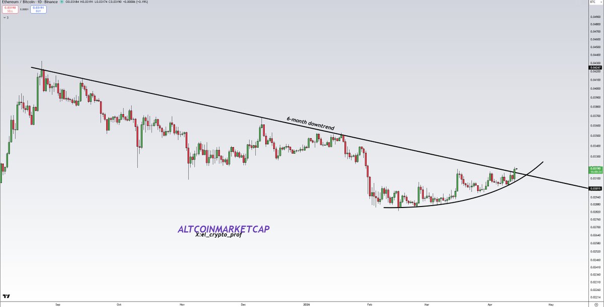 𝕄𝕠𝕦𝕤𝕥𝕒𝕔ⓗ𝕖 🧲 tweet media