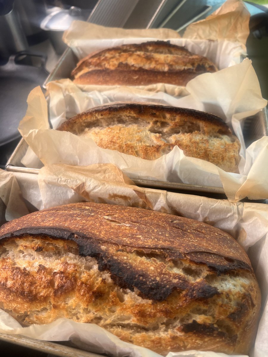 Texas Breakfast tweet media