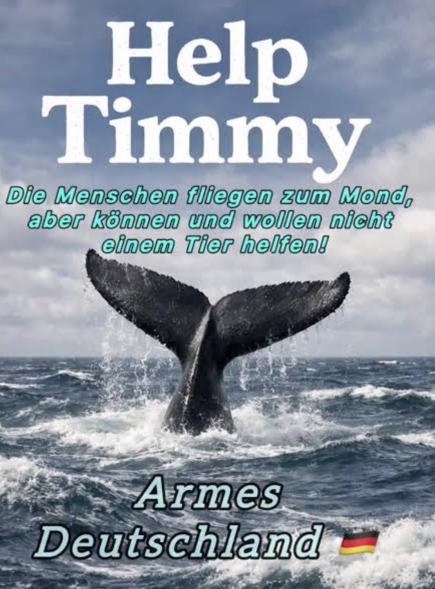 minj3ns's tweet image. Timmy/Hope der Wal ist nicht nur ein Wal er steht auch für:

TIMMY
Tragödie 
Inakzeptables Verhalten der Regierung
Menschlichkeit
Meeresbewohner
YMCA

HOPE
Hoffnung 
Ordnung 
Persönlichkeit
Energy