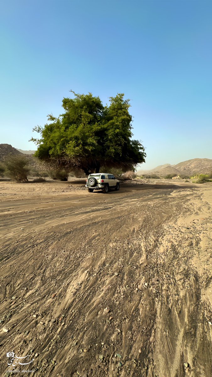 thekingdom_ksa's tweet photo. من وديان شمال #نجران صباح 13 أبريل 2026 بعد الأمطار 🌧️🌿
تتجلى روعة الطبيعة… وتؤكد أن #السعود��ة لوحة متنوعة بين جبال ووديان وسهول مزهرة 🇸🇦✨
📸 : @mahdi_Alselimi https://t.co/e0D8cIxBNq