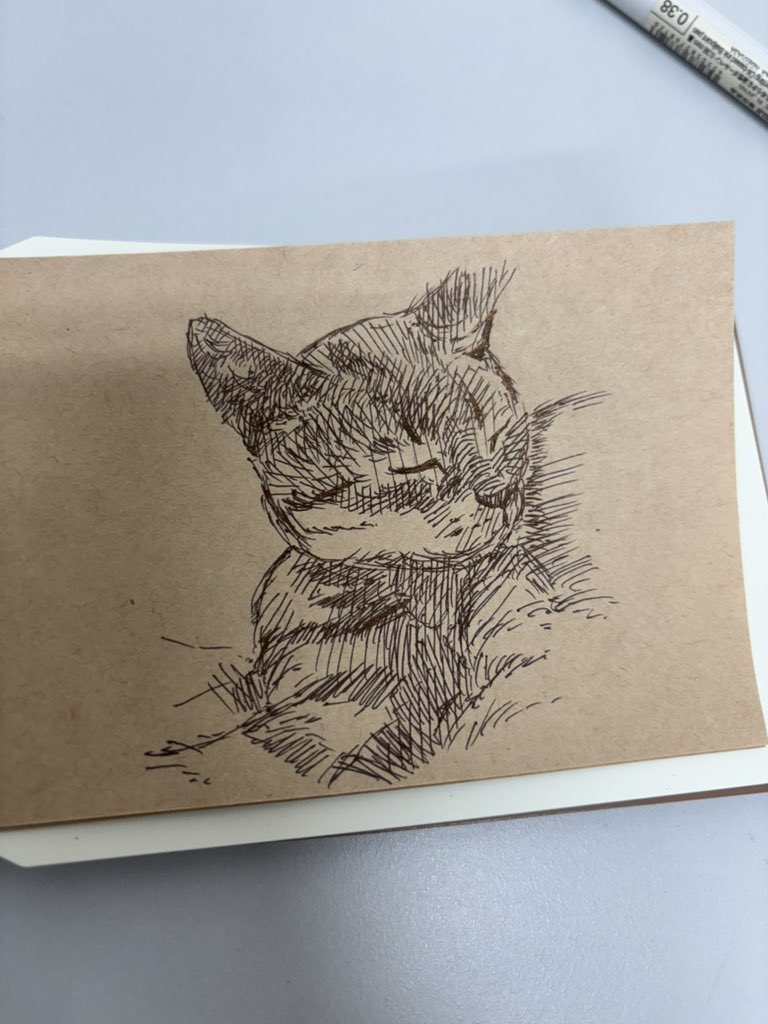 お茶♨️ tweet media