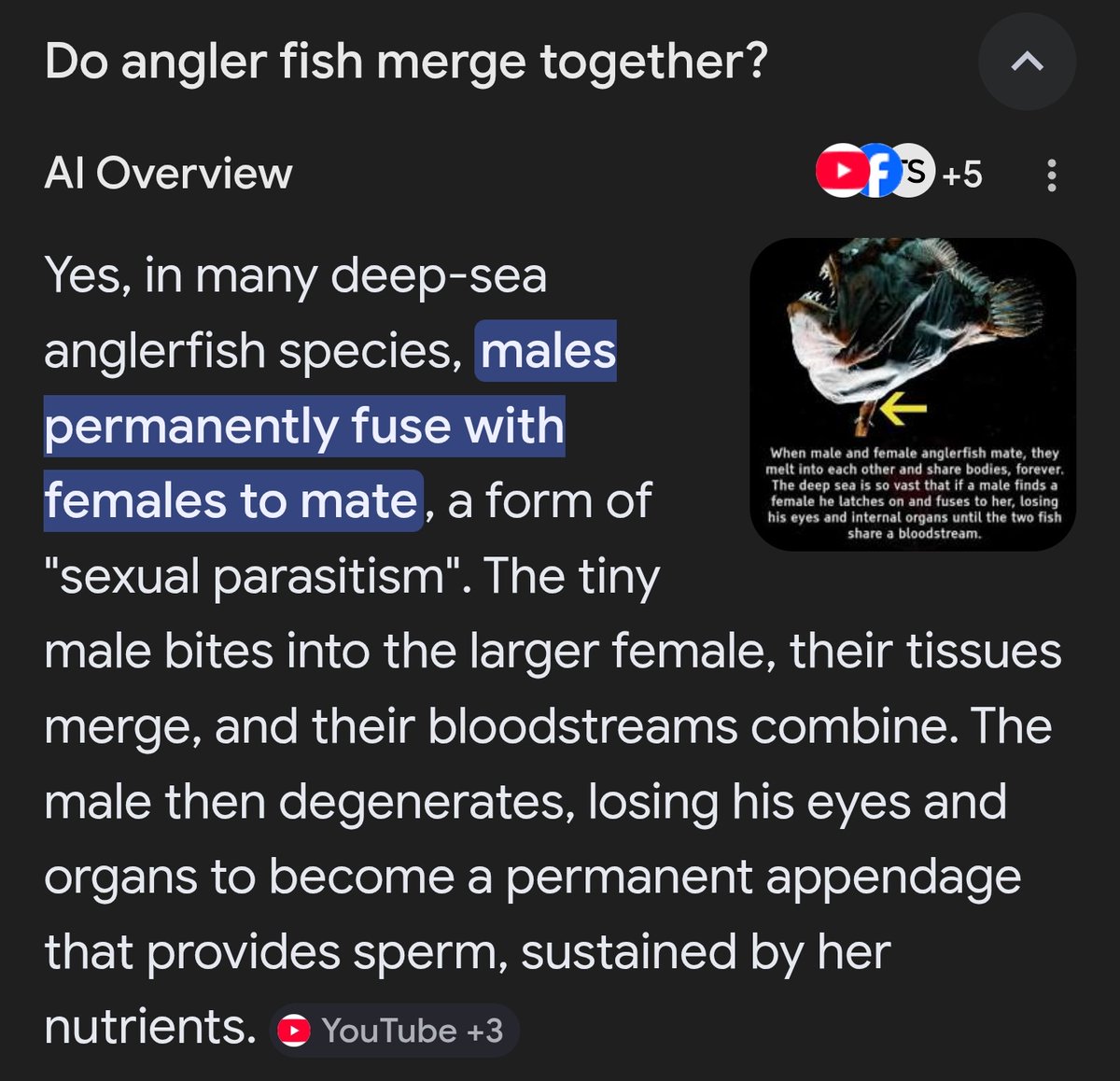 ♥️♠️Nepsuka♦️♣️ tweet media