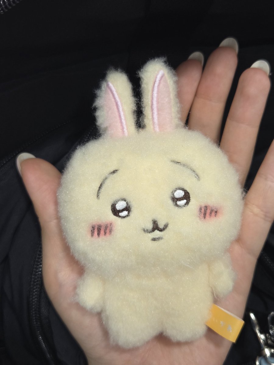 상이 3급 tweet media