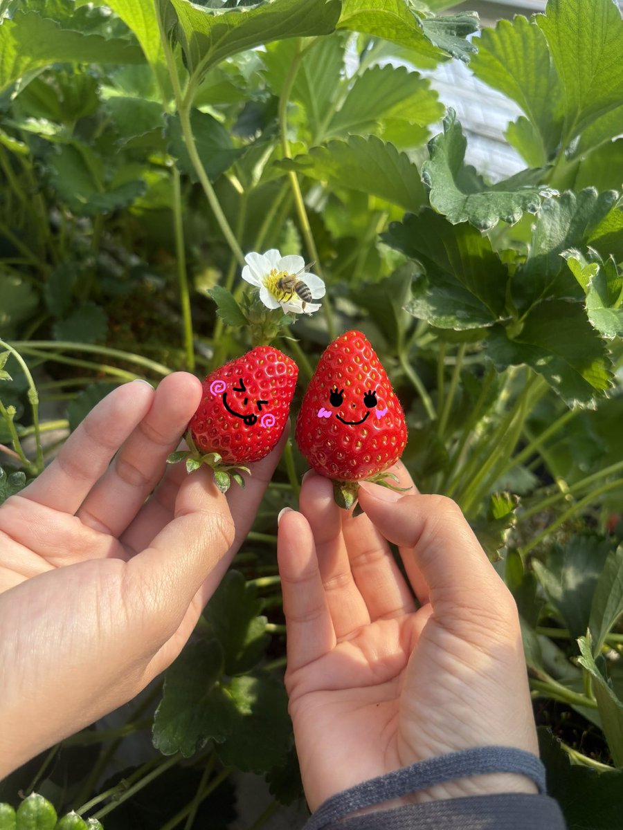 ୨୧･･･YUI･･･୨୧ tweet media