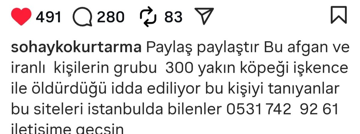 🐈‍⬛🦮Ayşegül Açıkgöz🐕🐈🐈‍⬛ tweet media