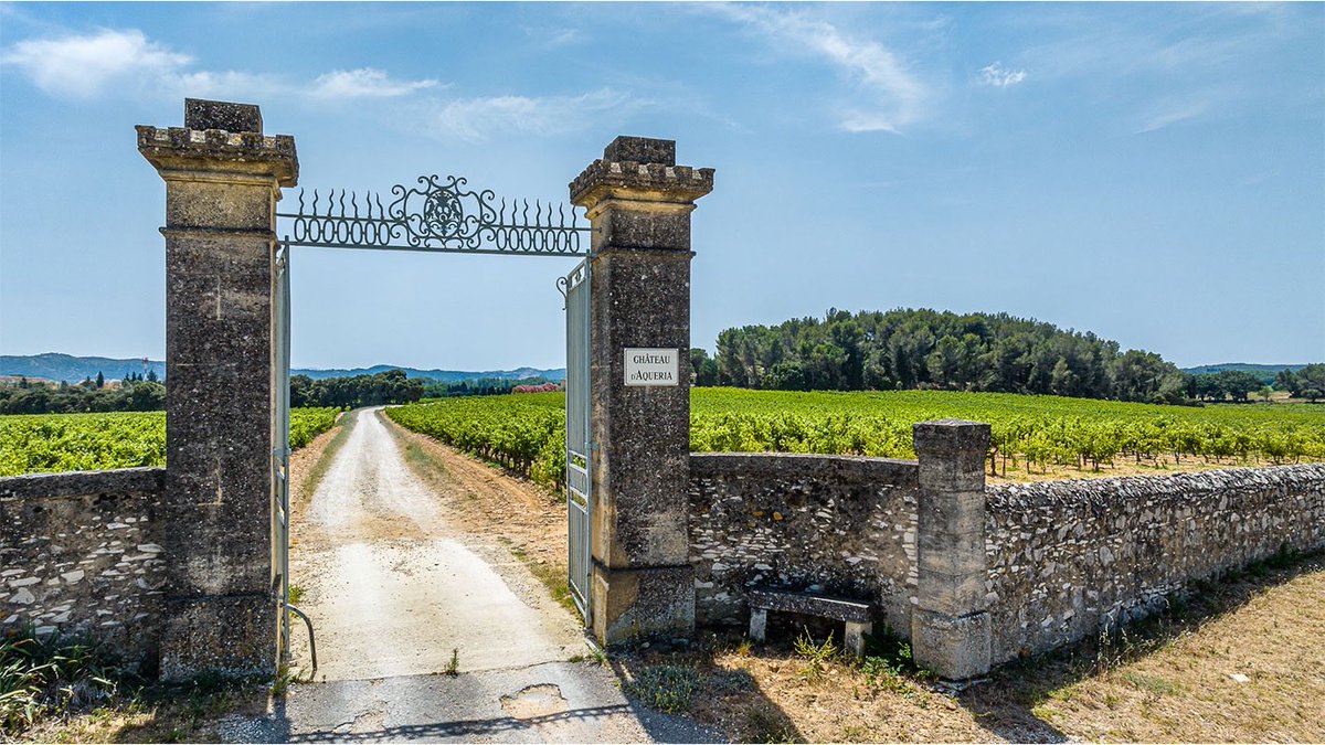 ReciprocalWine's tweet photo. Château D’Aqueria Lirac Blanc

Read more in our newsletter —> https://t.co/yWMC5HDxRt

#reciprocalwines #itsreciprocal #chateaudaquerialiracblanc https://t.co/zXks2oaYBd