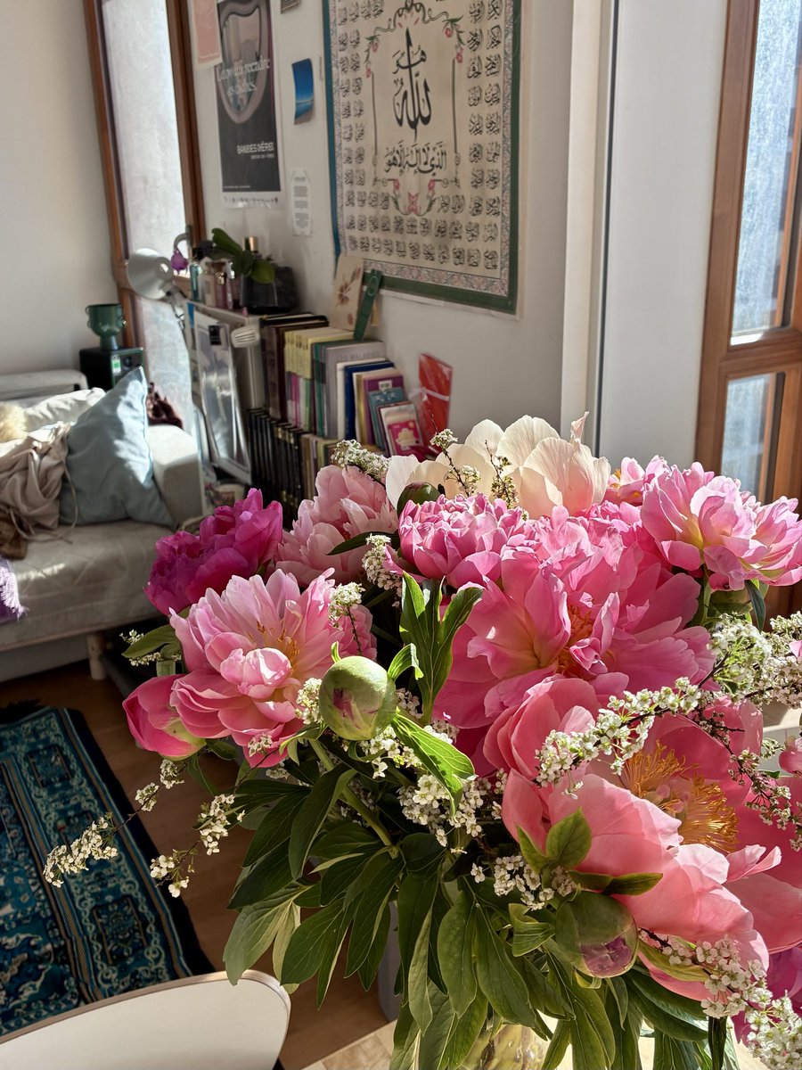 Peonies appreciation post