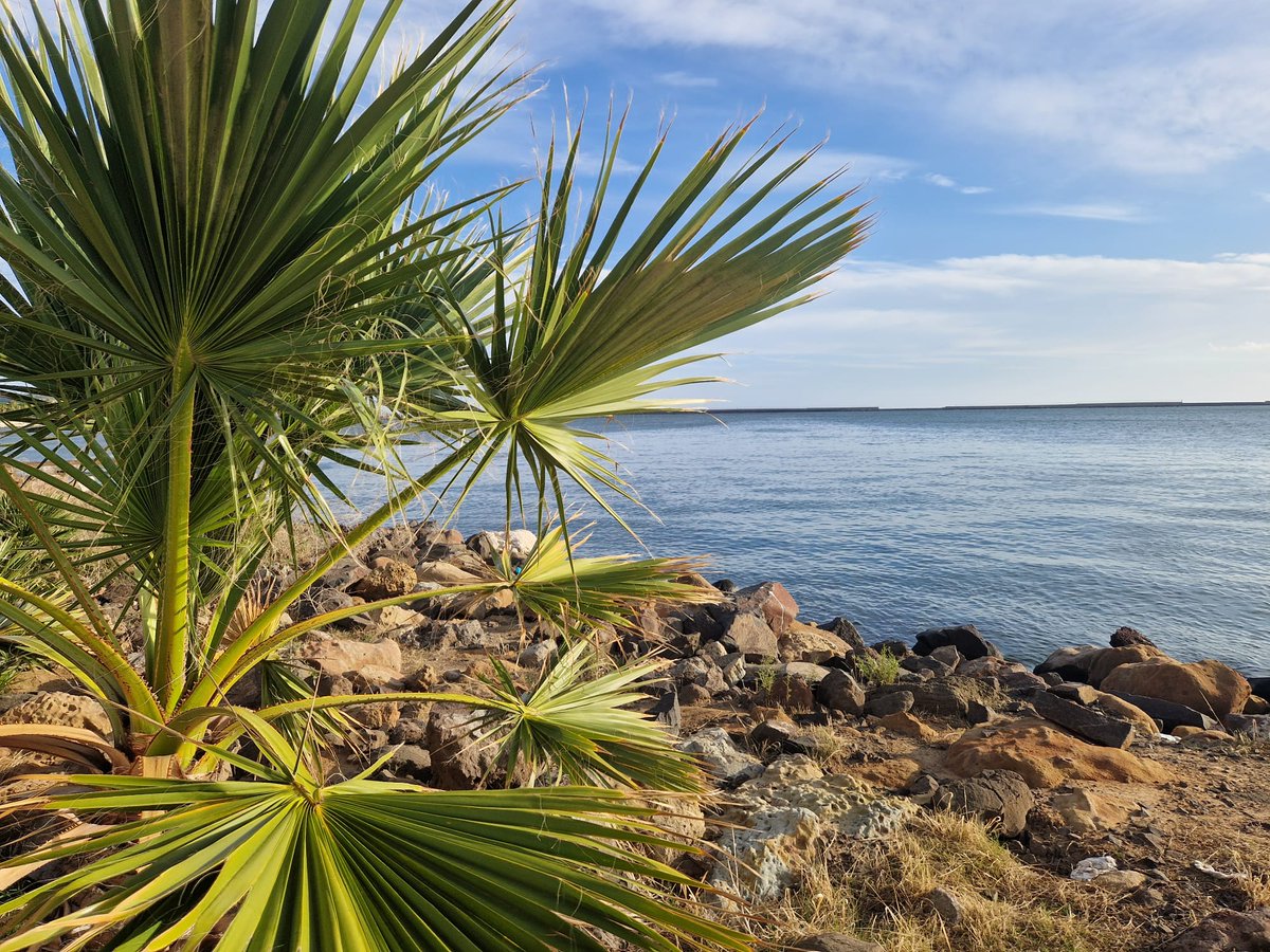 Buongiorno Amiche ed Amici 🤗