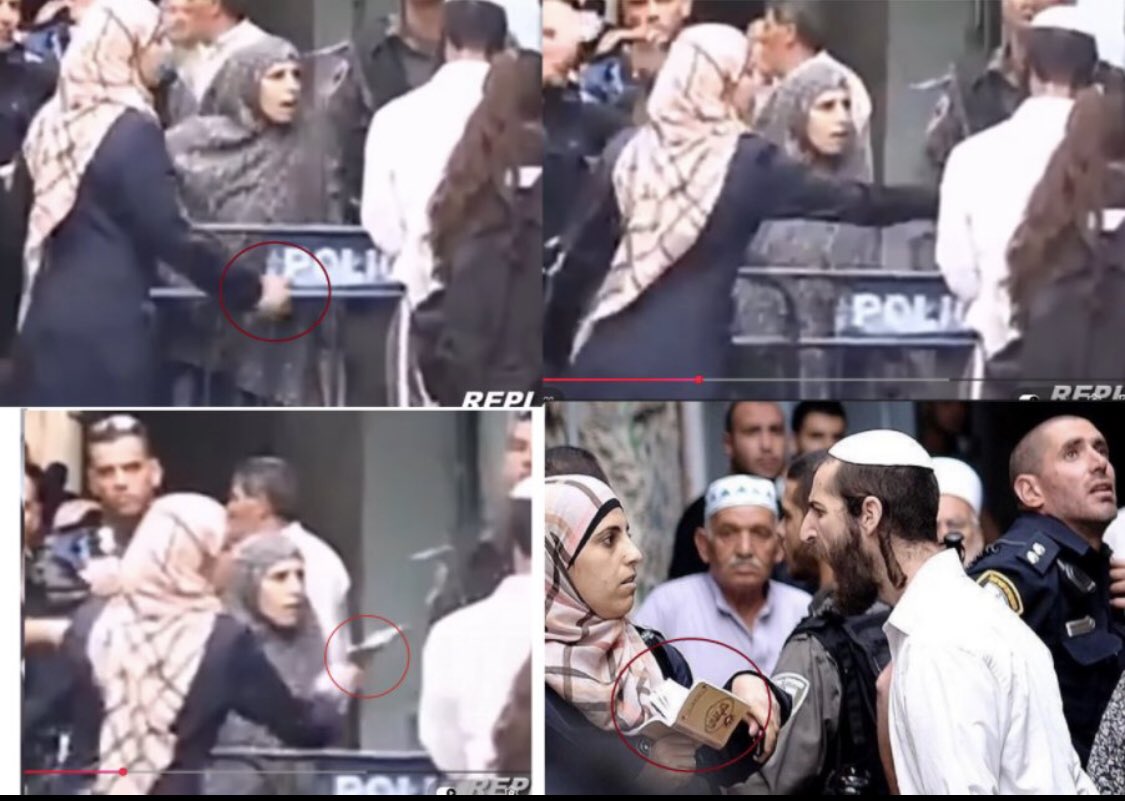 💫 פלוש/ flosh tweet media