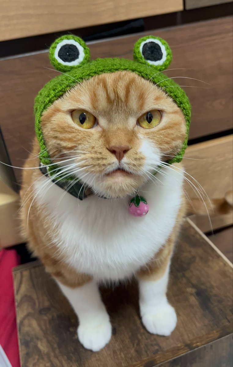 mikitty tweet media