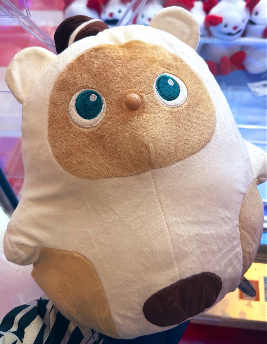 風海 ふみ tweet media