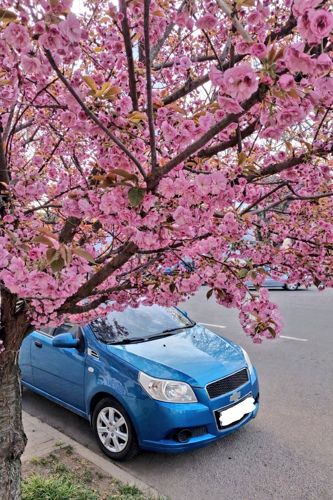 kris_r1992's tweet image. Morning!🌸 Tuesday energy: finding the balance between the peaceful mornings and the high-speed build. 
Ready to turn ideas into assets. Let’s make it a productive one! 

​ #Balance #Web3‌‌ #TuesdayMorning #Gm #morning