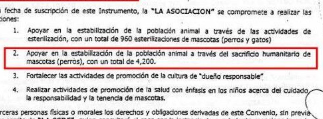 Frases Antitaurinas tweet media
