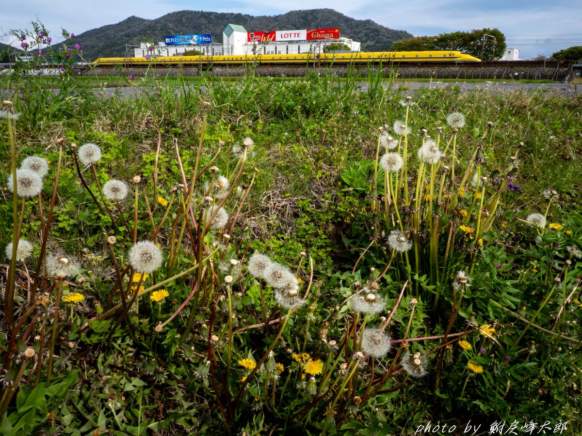 鮒戻峰太郎 tweet media