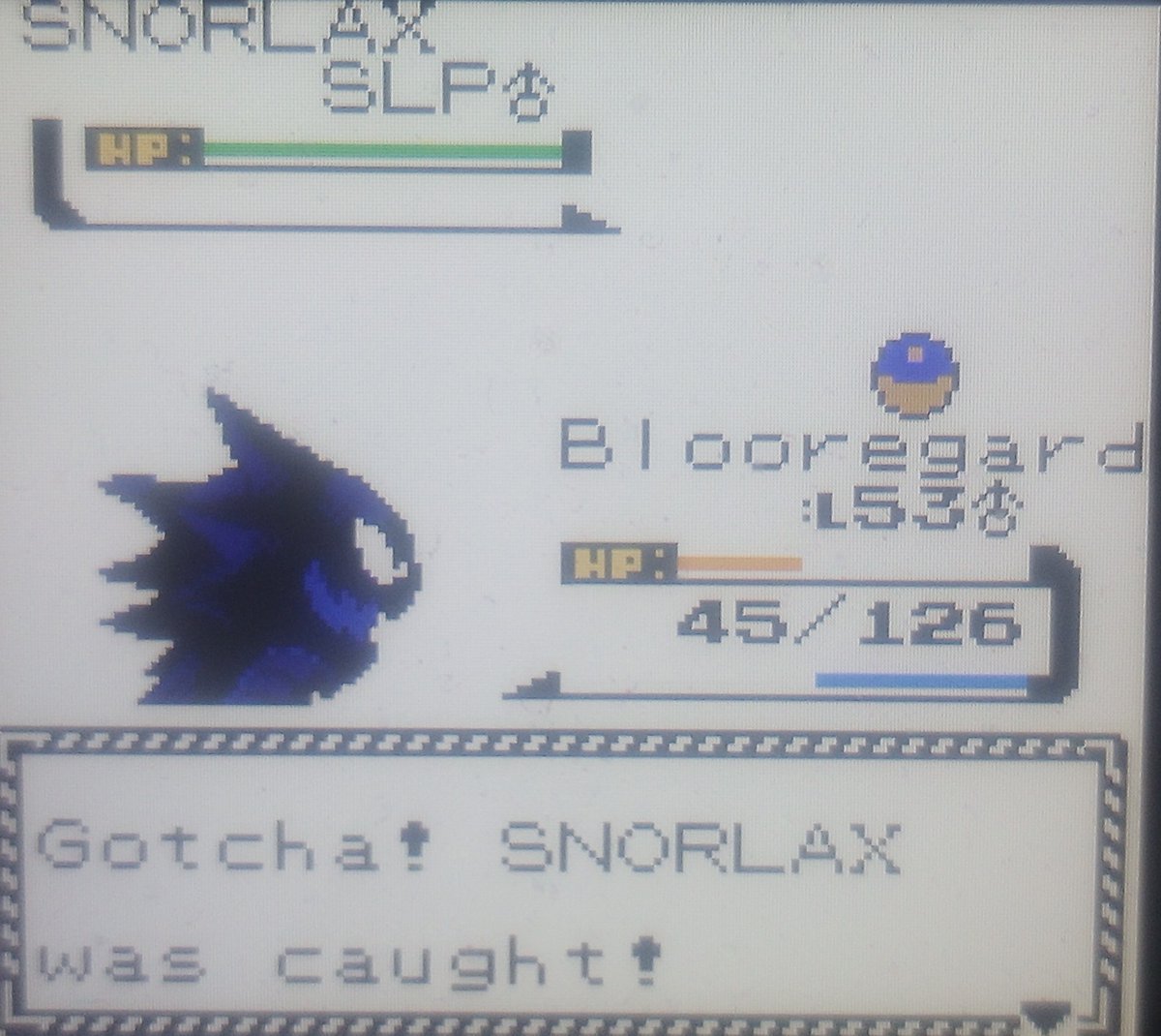 ShinyHunterRaikou tweet media